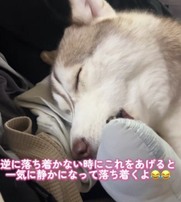 眠れないときも一気に静かになる