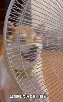 間近で当たり過ぎて…