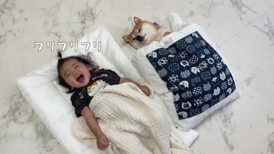 並んで眠れて大満足♪