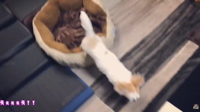 「置いて行かれるのは嫌!」