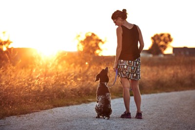 女性と犬の後ろ姿