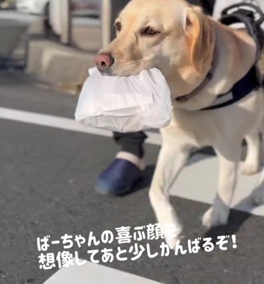 おばあちゃんの笑顔が見たい