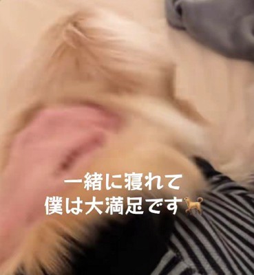 大満足なばるちゃんでした♪