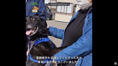 第2の犬生が始まる