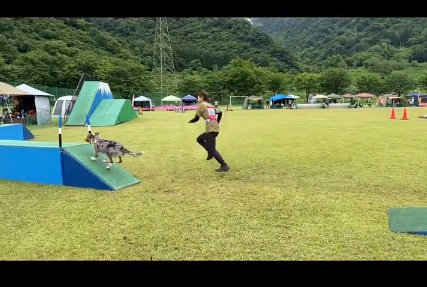 スタートしたみかづきちゃん