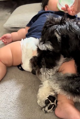 赤ちゃんにくっつくゆずくん