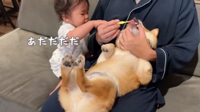 歯を磨くうにくん