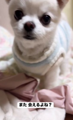 「また会えるよね?」