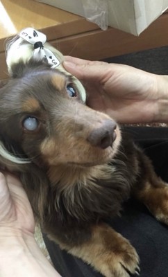 オシャレもバッチリ