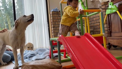 もう一度すべり台の上へ