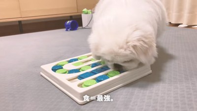 おやつを食べるぷんちくん