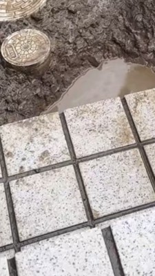 雨上がりの庭にある水たまり