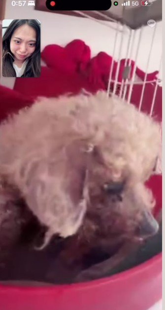 「お水ぐらいは飲んで」