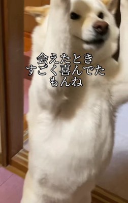 両手をあげて大喜び