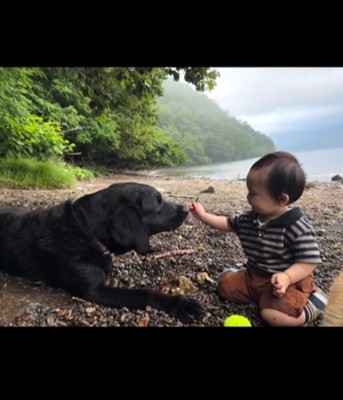 海辺に座る赤ちゃんと黒い犬