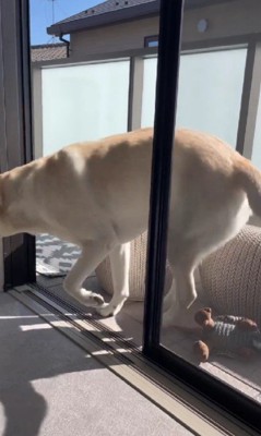 踏まないようにジャンプ!