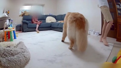 おからちゃんが立ち上がった！