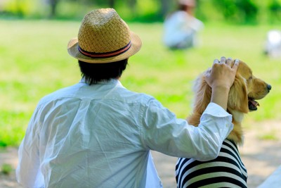 公園のベンチで休む犬と飼い主