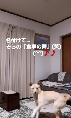「食事の舞」