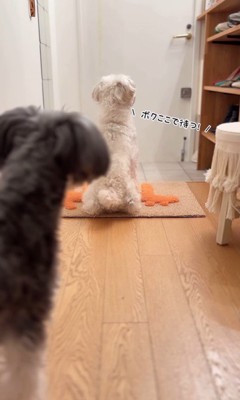 バンデくんとなぎちゃんの本当のおかえり2