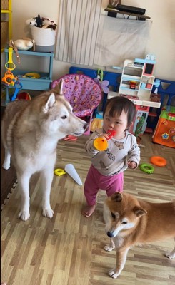 ロッキーくんと赤ちゃんの音楽会2