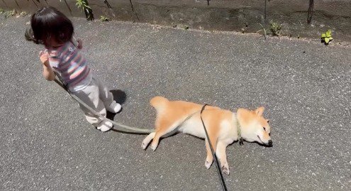 道路で横になる犬を見下ろす女の子