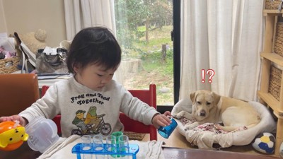 「えっ、何してるの!?」