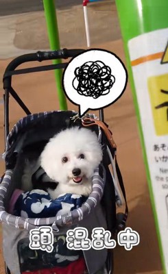 ミルクくんのナイスリアクション⑩