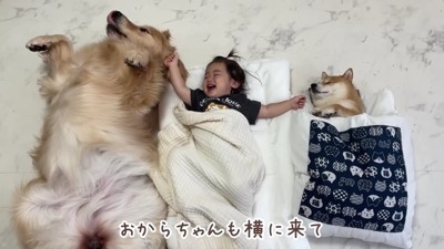 仲良しな光景にホッコリ