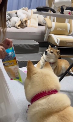 おやつの時間に