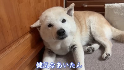 ご家族も思わずホロリ