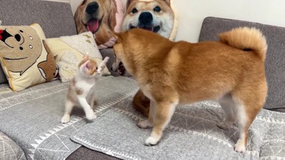 やっと遊べたよ!!