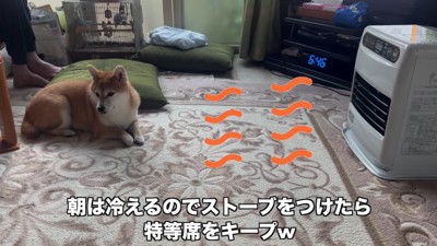 ストーブ前もひまりちゃんの席