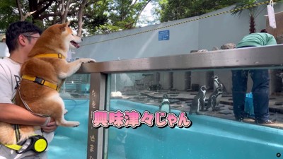 愛らしい姿にホッコリ
