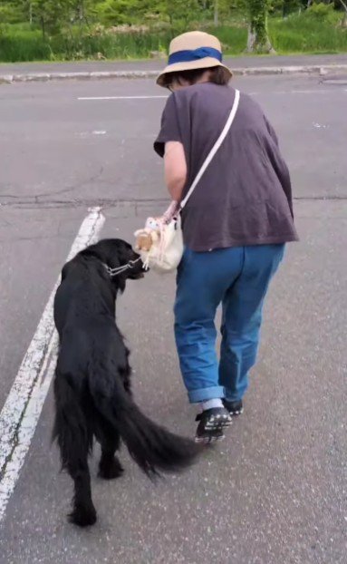 のんびりと暮らしているそう