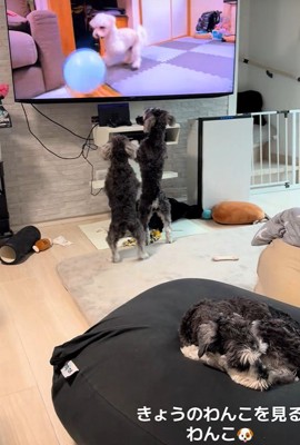 風船で遊ぶシーンになると…