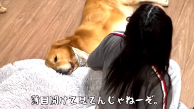 薄目を開けるベンツくん