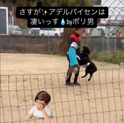 訓練中に乱入するポリくん⑩