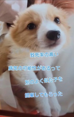 病気の疑いがあったそうです