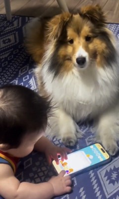 赤ちゃんの隣で伏せる犬