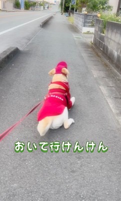 座り込む大型犬