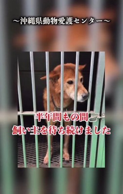 6ヶ月間待ち続けたが…