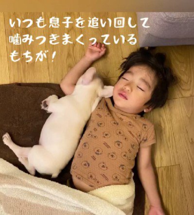 いつもは揉めるのに…