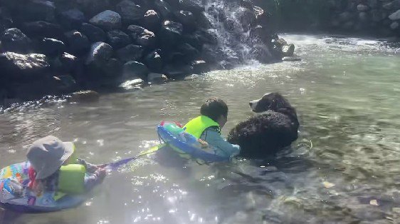 準備はいいかい?