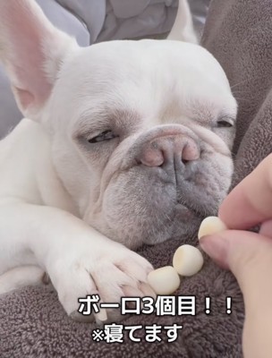 増えていくボーロ