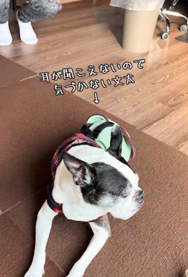 ぶんた君は気づいていません