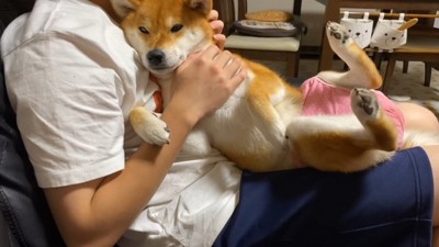 甘えん坊モードのゆきちゃん