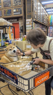 店員に声をかけられる犬