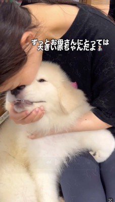 飼い主に顔を近づけられて目を細める子犬
