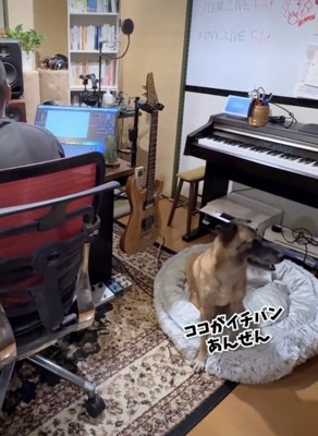 「怖かったわぁ」
